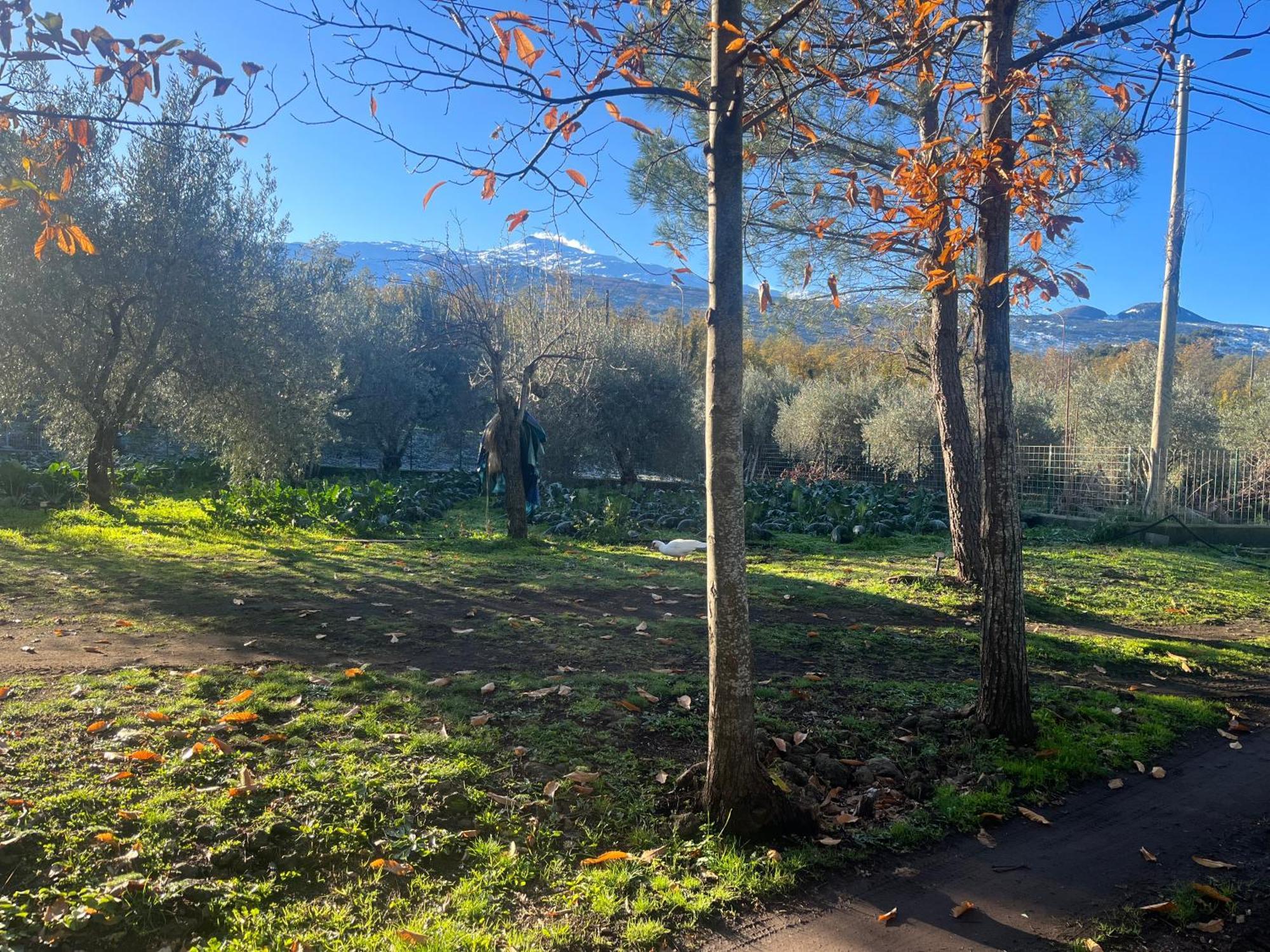 Poggio Roseto Villa Randazzo Exterior photo