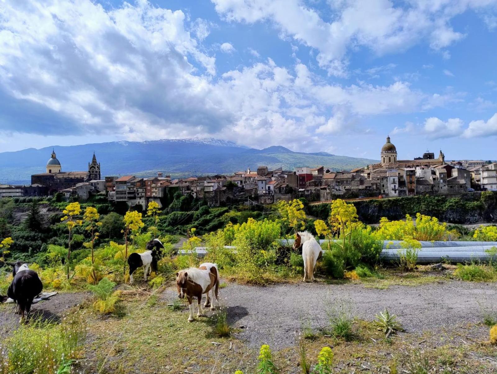Poggio Roseto Villa Randazzo Exterior photo